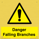 danger-falling-branches~